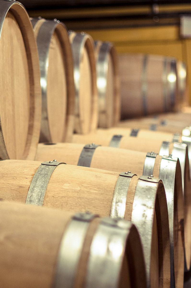 botti di rovere in cantina